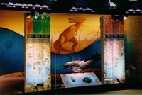 Klaipėdos jūrų muziejus, Floros ir faunos ekspozicija, sieninė tapyba, al secco,1999-2004.